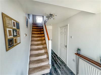 Picture 20